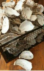 50 Oesterschelpen voor Hobby & Decoupage, Ophalen of Verzenden