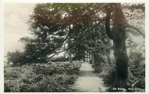 (387-239-045) De Steeg Kijk Over, Verzamelen, Ansichtkaarten | Nederland, Gelderland, Verzenden