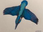 ijsvogel tekening Leopold, Antiek en Kunst, Ophalen of Verzenden