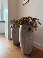 2x PTMD vaas pot, Huis en Inrichting, Woonaccessoires | Vazen, Ophalen, Zo goed als nieuw
