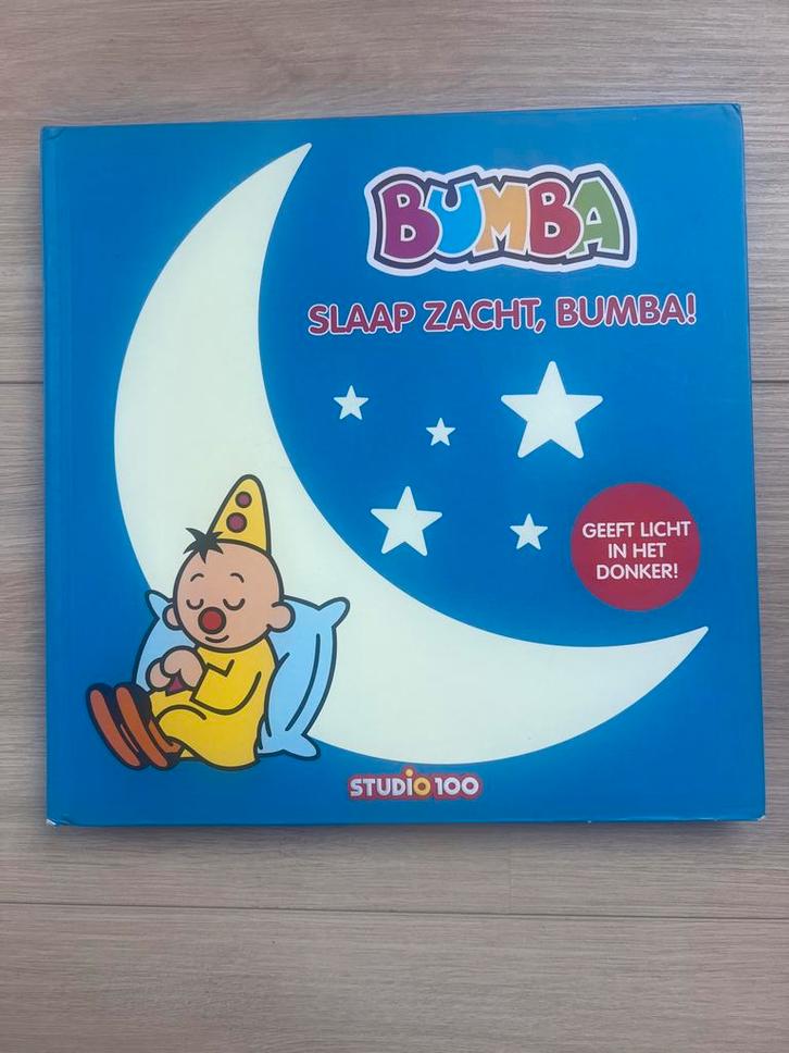 Bumba Boek - Slaap Zacht, Bumba!, Boeken, Kinderboeken | Baby's en Peuters, Zo goed als nieuw, 2 tot 3 jaar, Ophalen of Verzenden