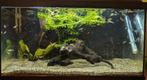 Aquarium 30x30x60 inhoud en toebehoren, Dieren en Toebehoren, Vissen | Aquaria en Toebehoren, Ophalen, Gevuld zoetwateraquarium