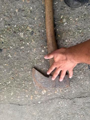 Oude Bijl - Gebruikt beschikbaar voor biedingen