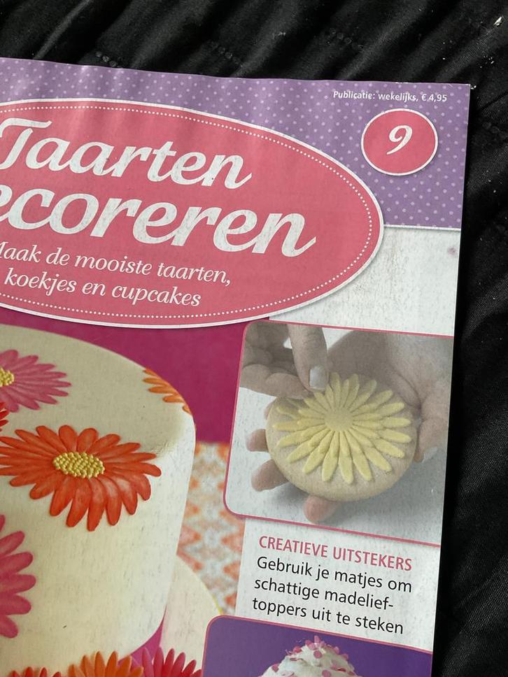 39 Boekjes Taarten Decoreren - Complete Collectie?, Boeken, Kookboeken, Gelezen, Taart, Gebak en Desserts, Europa, Ophalen of Verzenden