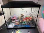 Aquarium met toebehoren, Ophalen of Verzenden, Zo goed als nieuw, Leeg aquarium