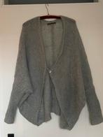 Femmes du Sud Mohair Vest OS, Ophalen of Verzenden, Zo goed als nieuw, Maat 46/48 (XL) of groter, Grijs