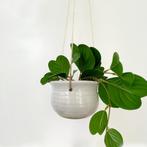 vintage hang BLOEMPOT keramiek plantenhanger hangpot pot oud, Binnen, Rond, Gebruikt, Ophalen of Verzenden