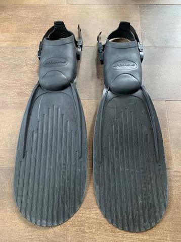 duikvinnen Sporasub Marina beschikbaar voor biedingen