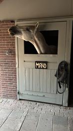 Project paard / weidemaatje, Dieren en Toebehoren, Paarden, Ruin, Recreatiepaard