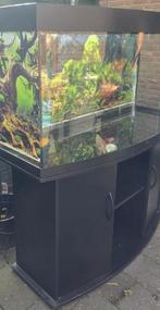 Jewel aquarium, Dieren en Toebehoren, Vissen | Aquaria en Toebehoren, Ophalen, Gebruikt