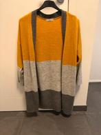 Gele/Grijze Cardigan, Kleding | Dames, Truien en Vesten, Ophalen of Verzenden, Zo goed als nieuw, Maat 34 (XS) of kleiner, Geel