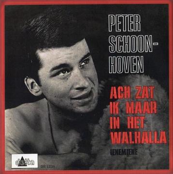 Vinylsingle peter Schoonhoven gezocht  delta 2023 beschikbaar voor biedingen