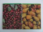 2 vintage gelinieerde schoolschriften met fruit kersen peren, Diversen, Ophalen of Verzenden, Zo goed als nieuw