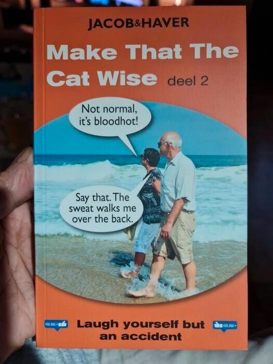Jacob & Haver - 2, Boeken, Humor, Zo goed als nieuw, Verhalen, Ophalen of Verzenden