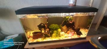 Aquarium Ciano 60 compleet  beschikbaar voor biedingen