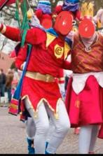 Pardoes & Pardijn Kostuums - Efteling Carnaval, Ophalen of Verzenden, Gedragen, Carnaval, Kleding