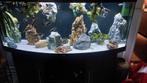 Te koop aquarium juwel 450, Dieren en Toebehoren, Vissen | Aquaria en Toebehoren, Ophalen of Verzenden, Zo goed als nieuw, Gevuld zoetwateraquarium