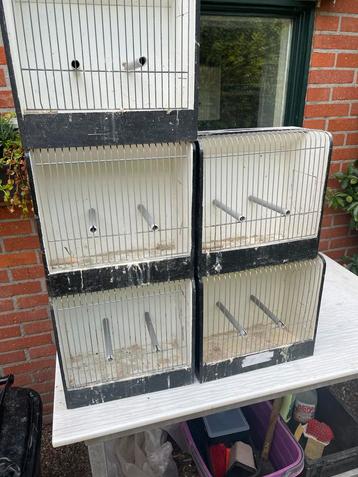 5 kleine TT kooitjes 10,00 beschikbaar voor biedingen