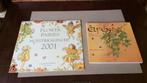 Elfen teken- & schildertechnieken & flower fairies platen, Boeken, Ophalen of Verzenden, Zo goed als nieuw, Tekenen en Schilderen