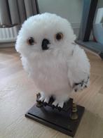 Enchanting Hedwig interactieve uil., Verzamelen, Harry Potter, Ophalen of Verzenden, Zo goed als nieuw
