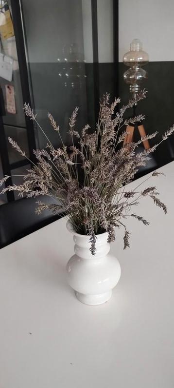 Witte vaas met gedroogde lavendel beschikbaar voor biedingen