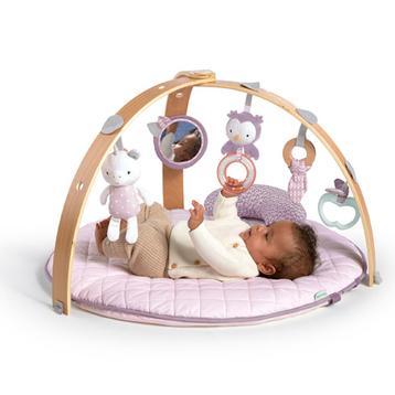 Babygym Ingenuity Calla  beschikbaar voor biedingen