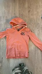 Super mooie Gaastra trui/hoody maat M, Ophalen, Zo goed als nieuw, Maat 38/40 (M)