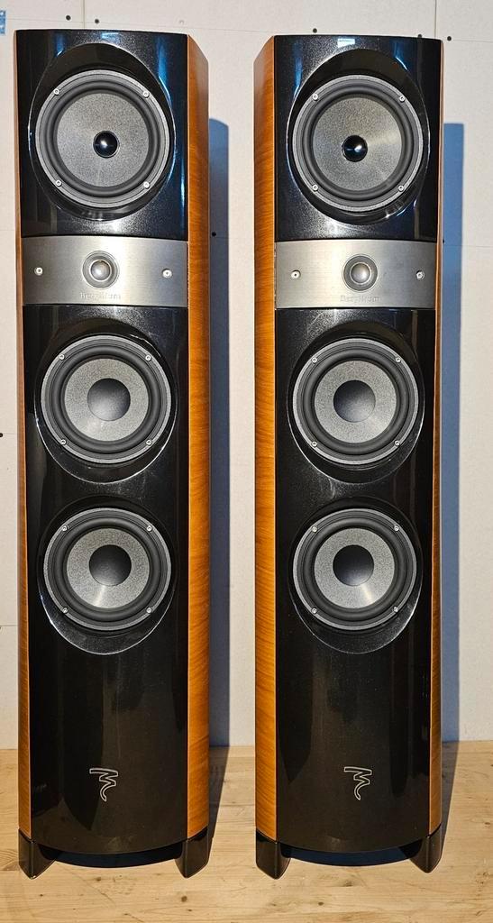 Focal 1027 BE topklasse, 33kg, handmade in France, Berylium, Audio, Tv en Foto, Luidsprekers, Gebruikt, Front, Rear of Stereo speakers