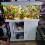 mooi aquarium met onderkast te koop, Zo goed als nieuw, Ophalen, Leeg aquarium