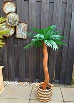 Prachtige kunst palmboom nieuw, Huis en Inrichting, Woonaccessoires | Kunstplanten en Kunstbloemen, Ophalen of Verzenden, Nieuw