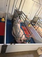 Kraamhokken [755], Boekhorst Trading, Info@boekhorsttrading.com, Singel 16, Horssen