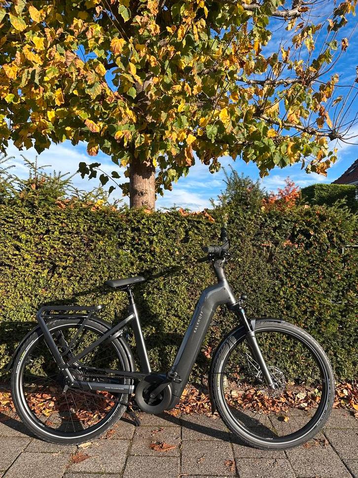 Kalkhoff IMAGE 5+ ADVANCED. 2026, Fietsen en Brommers, Elektrische fietsen, Nieuw, Overige merken, 51 tot 55 cm, 50 km per accu of meer