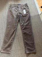 Nieuw ! Red Button rib-broek Relax maat 40, Maat 38/40 (M), Bruin, Nieuw, Ophalen of Verzenden