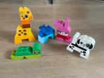 Lego Duplo sets, creatieve dieren 10573, losse bouwplaat, Kinderen en Baby's, Speelgoed | Duplo en Lego, Duplo, Ophalen of Verzenden
