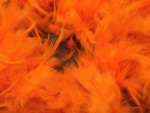 Koningsdag: oranje boa’s, halssligers,hoedjes, pruik, bril., Kinderen en Baby's, Carnavalskleding en Verkleedspullen, Zo goed als nieuw