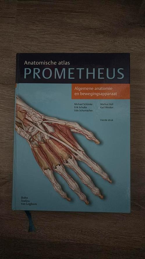 Erik Schulte - Algemene anatomie en bewegingsapparaat, Boeken, Wetenschap, Zo goed als nieuw, Verzenden