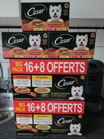 Cesar honden paté vlees natvoer 60 kuipjes tht 2027, Dieren en Toebehoren, Ophalen, Hond