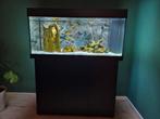 JUWEL RIO 180 AQUARIUM MET TOEBEHOREN, Ophalen, Gebruikt, Gevuld zoetwateraquarium