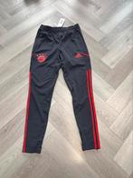 Nieuw Adidas broek maat S ( Bayern München), Nieuw, Ophalen of Verzenden, Adidas, Maat 46 (S) of kleiner