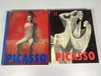Pablo Picasso [1881-1973] 2 Boeken in Box Set — Veel ill., Boeken, Kunst en Cultuur | Beeldend, Ophalen of Verzenden, Gelezen