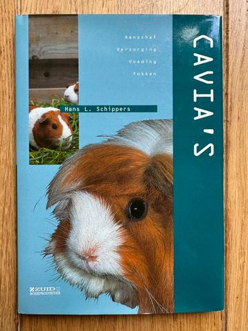 H.L. Schippers - Cavia's z.g.a.n. beschikbaar voor biedingen