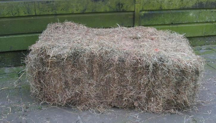 Hooibaal te koop, Dieren en Toebehoren, Dierenvoeding, Ophalen of Verzenden