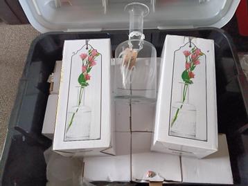 leuke sierlijke nieuwe bloemenvaasjes van glas beschikbaar voor biedingen