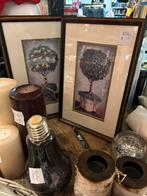 Twee mooie schilderijen met buxus boompjes, Huis en Inrichting, Woonaccessoires | Zuilen en Pilaren, Ophalen of Verzenden, Zo goed als nieuw