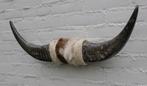 Texas style BULLBAR- 73 cm - afgewerkt met koeienvel en touw, Ophalen of Verzenden, Nieuw, Boerderijdier, Gewei of Kop