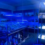 Zoutwater afdeling stopt 20% korting, Ophalen, Nieuw, Gevuld zoetwateraquarium