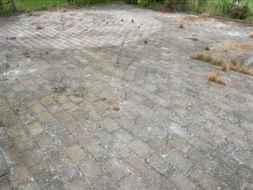 Gratis partij betonklinkers 70m2 beschikbaar voor biedingen