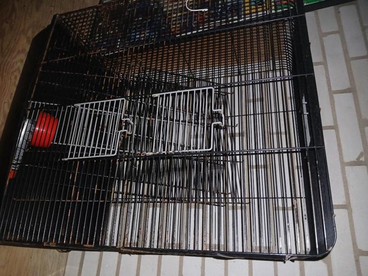Rattenkooi opknapper gratis, Dieren en Toebehoren, Knaagdieren en Konijnen | Hokken en Kooien, Gebruikt, Kooi, 60 tot 90 cm, Minder dan 75 cm