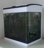 Superfish Panorama aquarium met vissen, verwarming en filter, Dieren en Toebehoren, Ophalen, Gebruikt, Gevuld zoetwateraquarium
