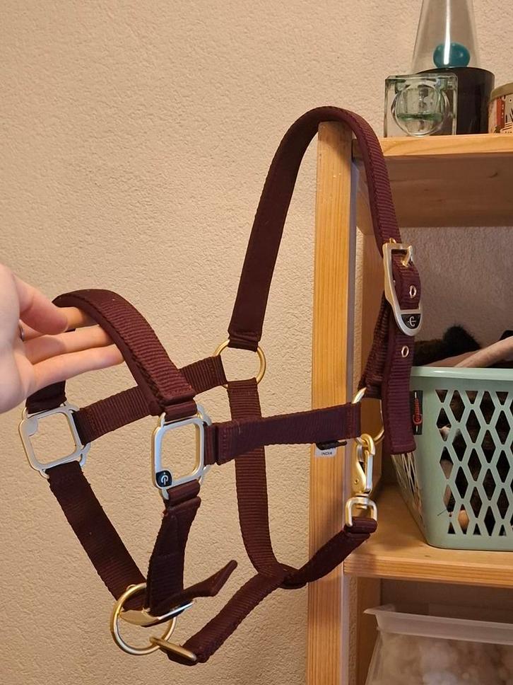 Nieuw halster shet met bijpassend touw, Dieren en Toebehoren, Paarden en Pony's | Hoofdstellen en Tuigage, Nieuw, Ophalen of Verzenden